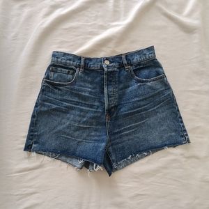Pacsun High Rise Icon Shorts Size 29